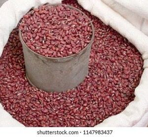 Red Pinto Beans (50 Lb)